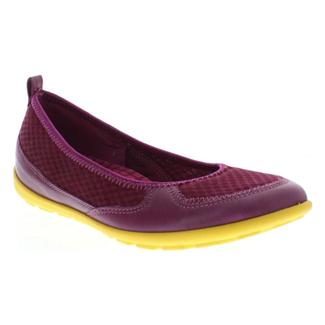 16544.bmp